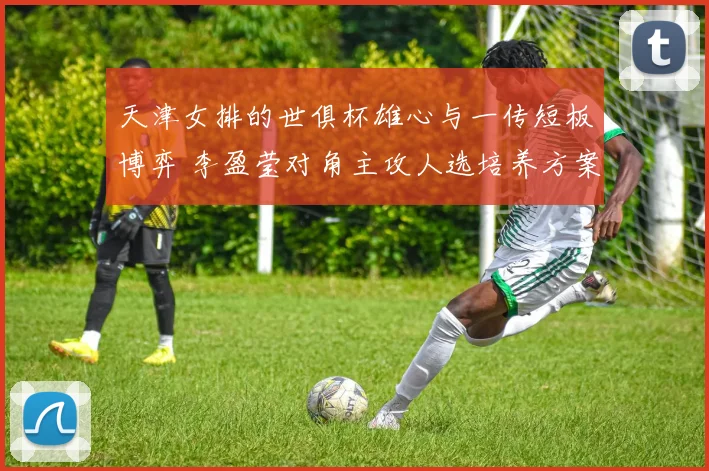 天津女排的世俱杯雄心与一传短板博弈 李盈莹对角主攻人选培养方案与战术设计