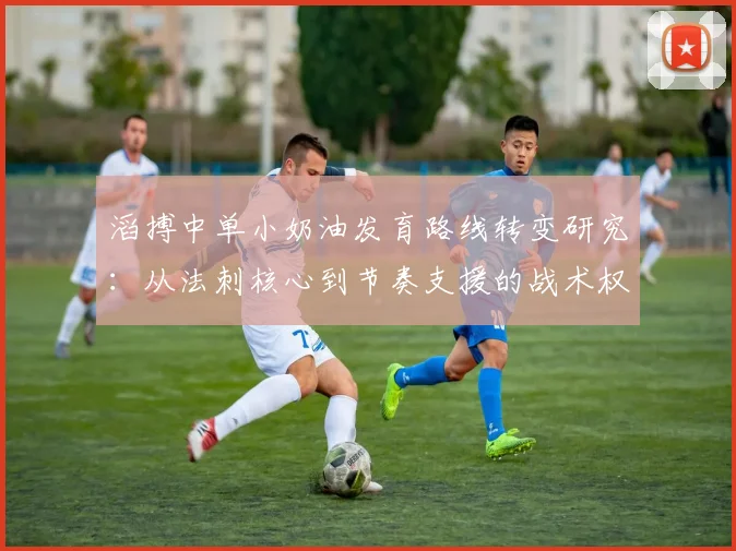 滔搏中单小奶油发育路线转变研究：从法刺核心到节奏支援的战术权衡