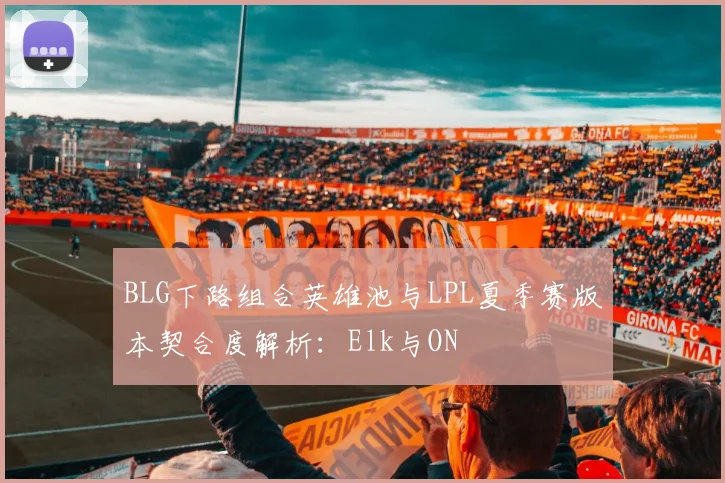 BLG下路组合英雄池与LPL夏季赛版本契合度解析：Elk与ON